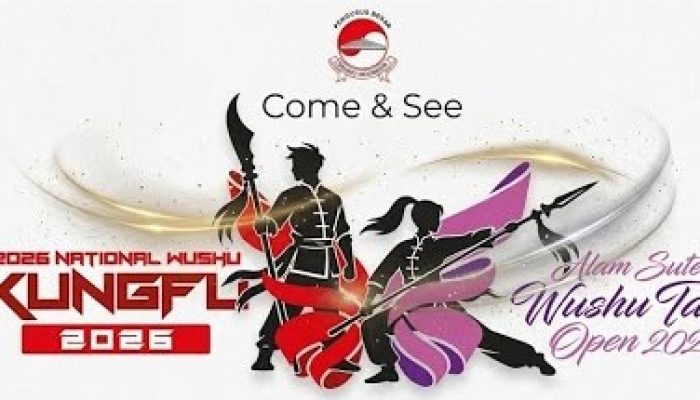Wushu 2
